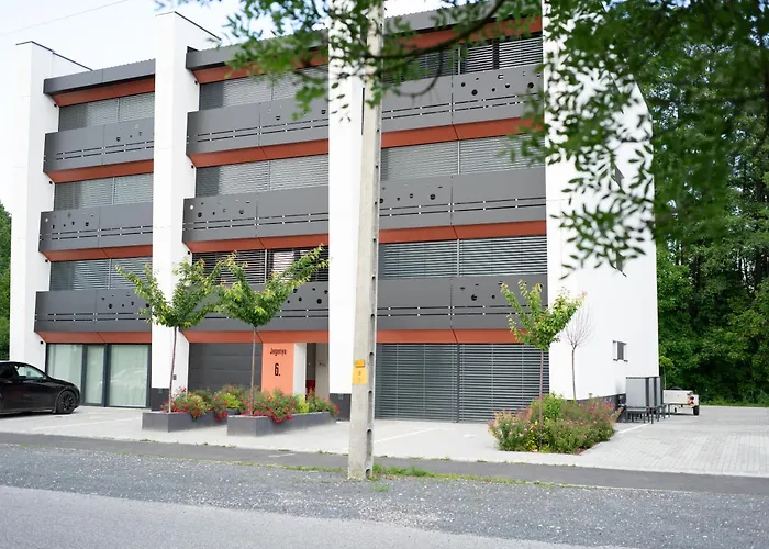 Oazis * 잘라카로쉬