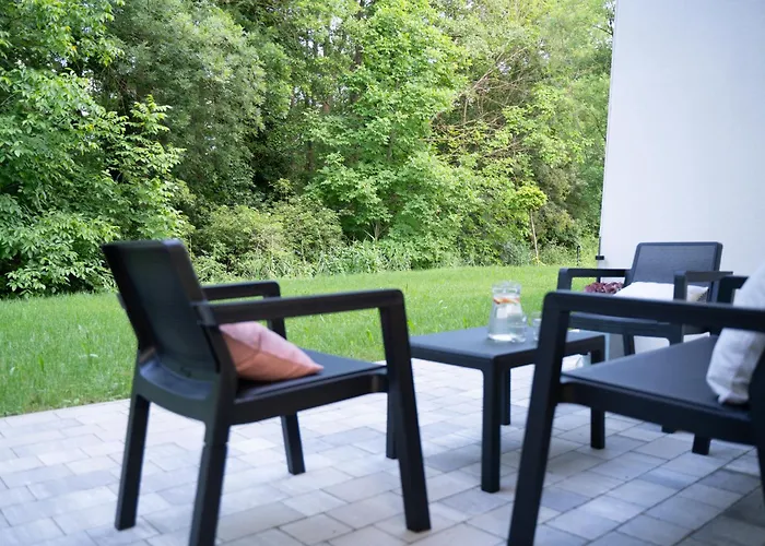 Oazis * 잘라카로쉬